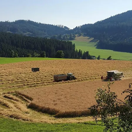 شقة Graglerhof Liebenfels