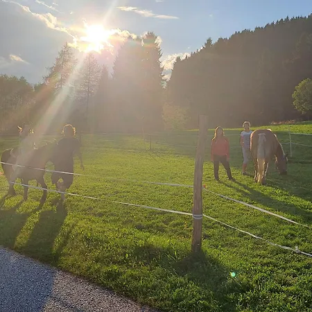 Graglerhof * Liebenfels