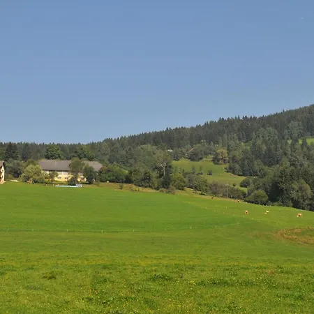 Apartment Graglerhof