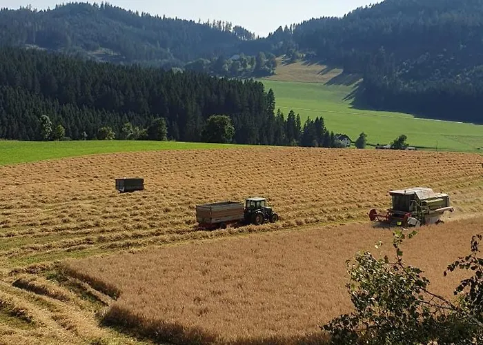 Apartament Graglerhof Liebenfels