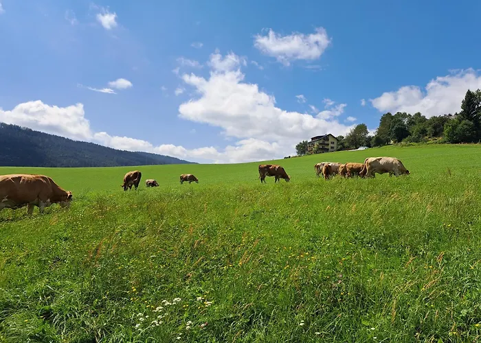 Graglerhof Apartament *